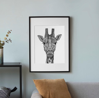 A realistic giraffe art print drawn in pen and ink