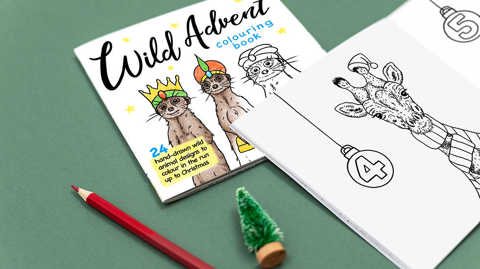 Wild Advent Colouring Book featuring meerkats on the cover