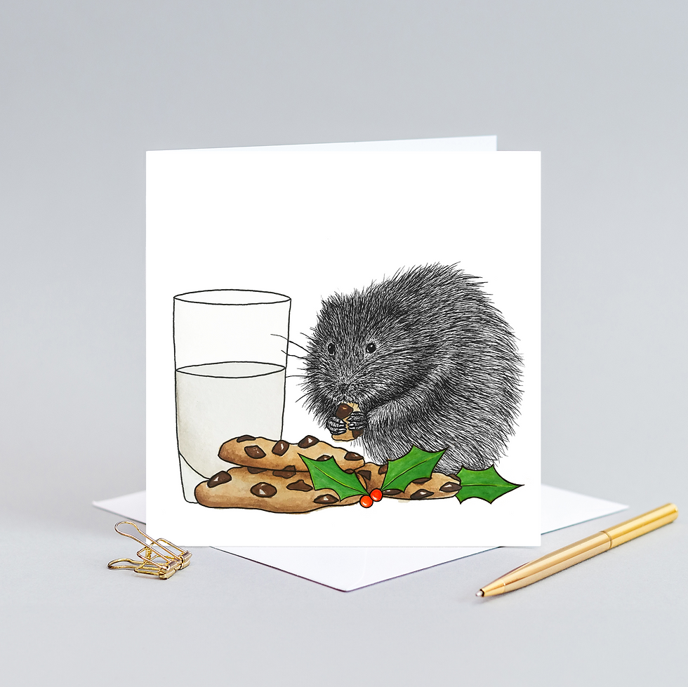 Thumbnail: Water vole Christmas card