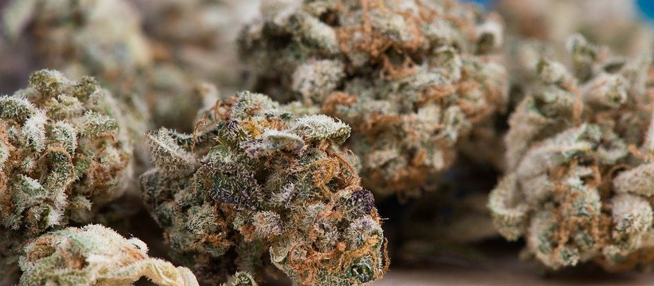 OIJ a tu servicio: Mitos y realidades de las drogas
