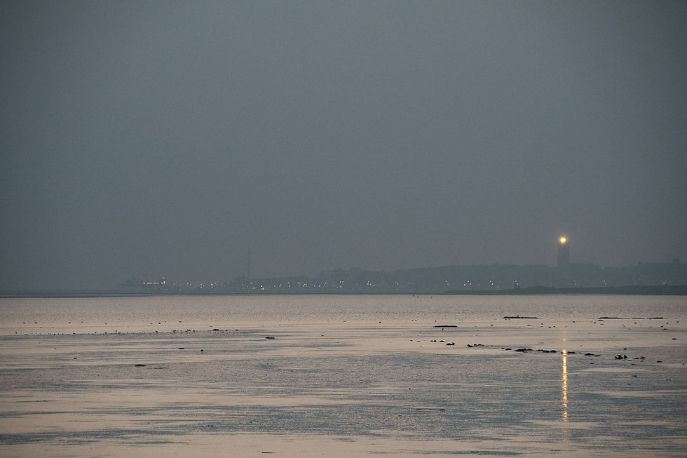 2022-11-Terschelling (1573).jpg