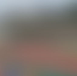正田醤油スタジアムを走る