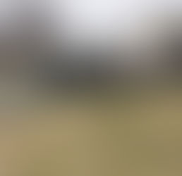 やっと再開、でも最後😢