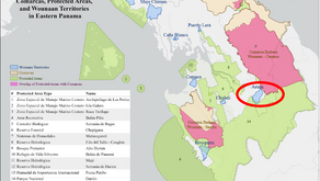 Results that Speak for Themselves