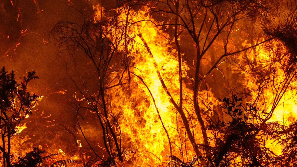 Indigenous Fire Management 