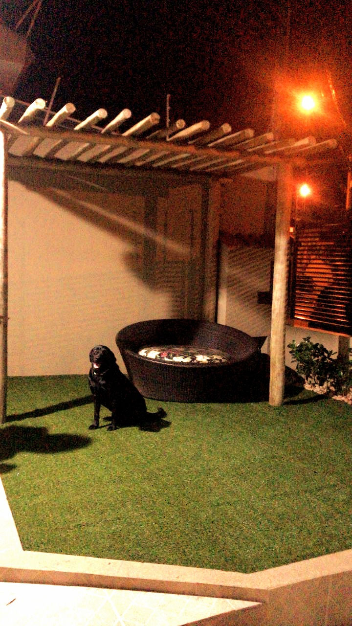 20mm verde com palha