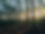 Forest Scene