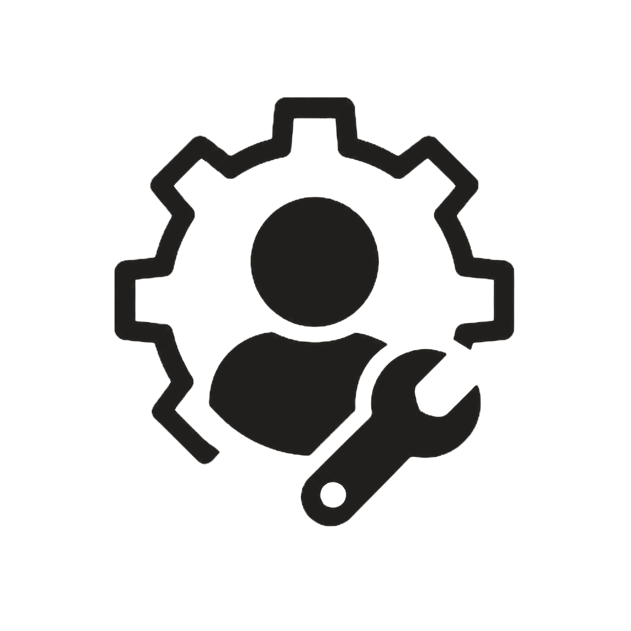 Professional security and IT installation services