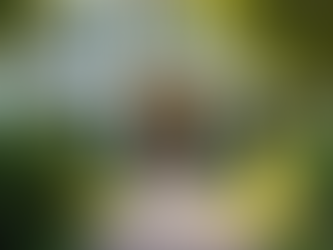 Maximizing Rental Income: Tips for Property Owners