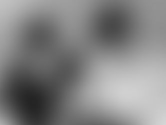 PARAULES QUE ENS GUAREIXEN