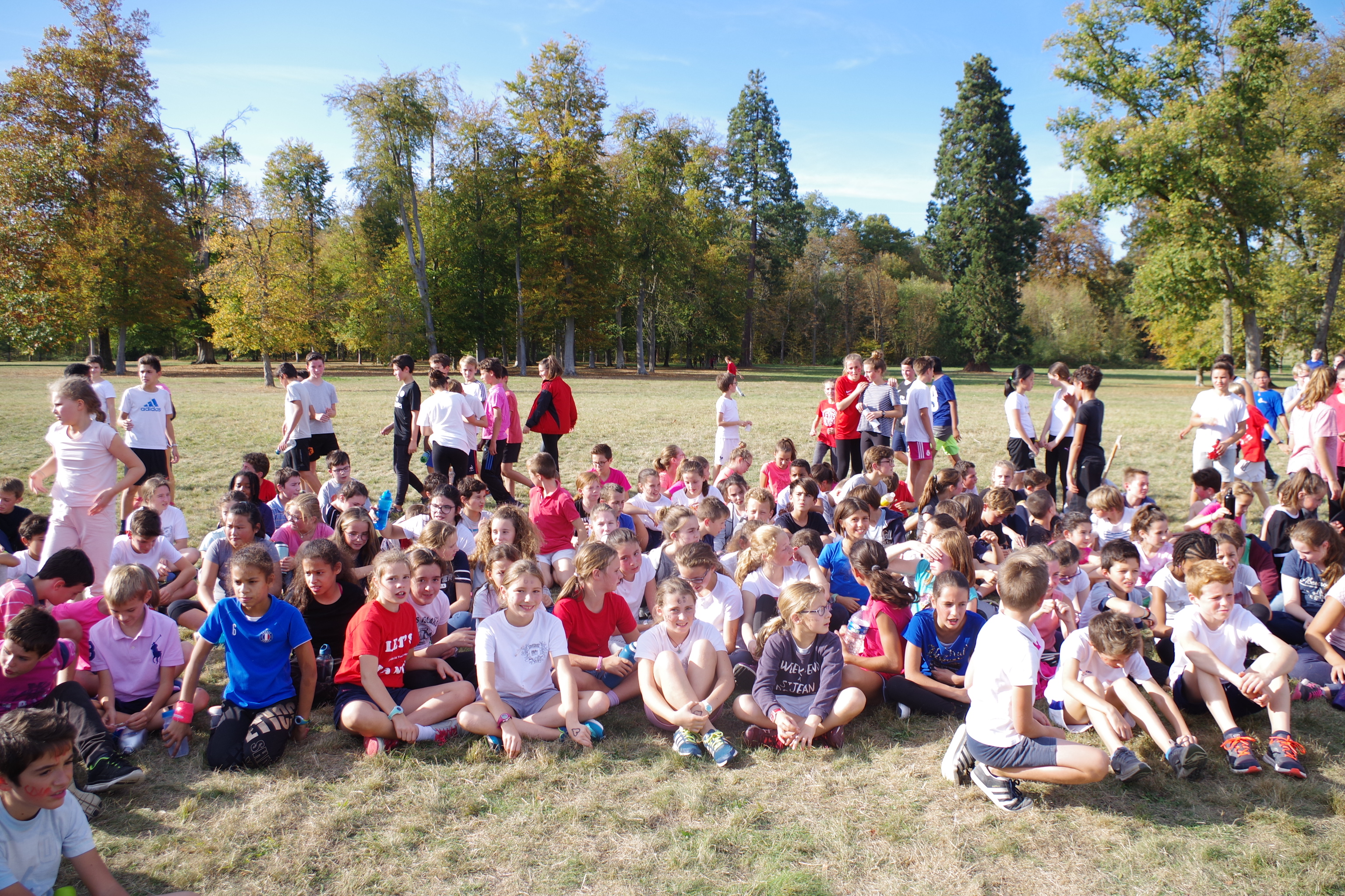 Cross 2018