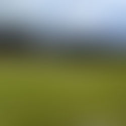 Breites Sportangebot für „alle Lebenslagen“ in Kammer