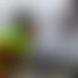 Nasser Neuschnee lässt Baum umstürzen