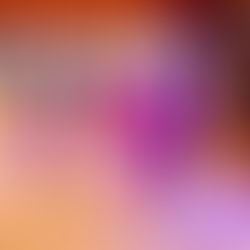 Vom Kammerer Circus bis zu den Rettenbacher Zwergen