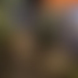 Vorweihnachtlicher Markt lockt viele Besucher nach Kammer