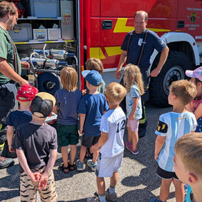 45 Blaumeisen und Spatzen erobern die Feuerwehr