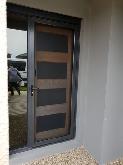 Stainless Steel Mesh Security Doors