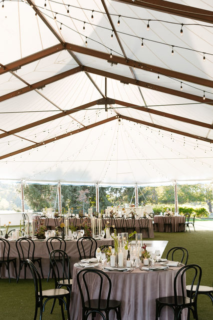 Klaudija-Collin-French-Park-Wedding-Cincinnati-Ohio-644