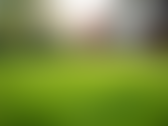 Seasonal Lawn Maintenance Tips for Every Season