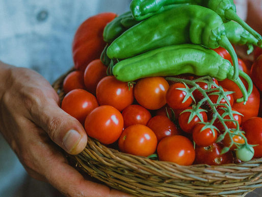 Fresh homegrown vegetables grown through natural farming by devotional communities