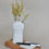 Thumbnail: Meow! Desk and Paw Pot Set