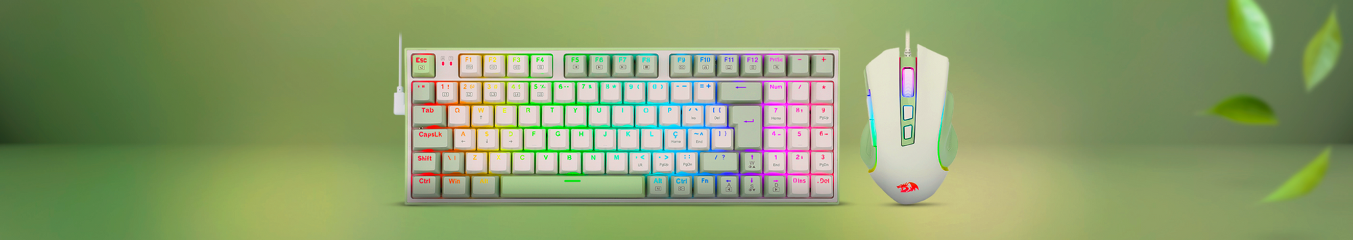 banner-SITE.png