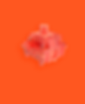cherry-brown.png
