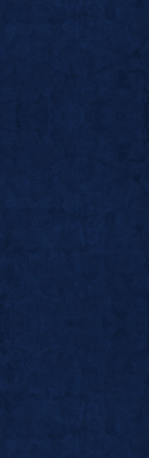 banner casas-04.jpg