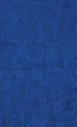 banner casas_rav .jpg