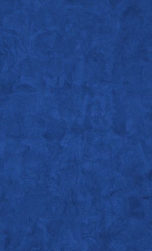 banner casas_rav .jpg
