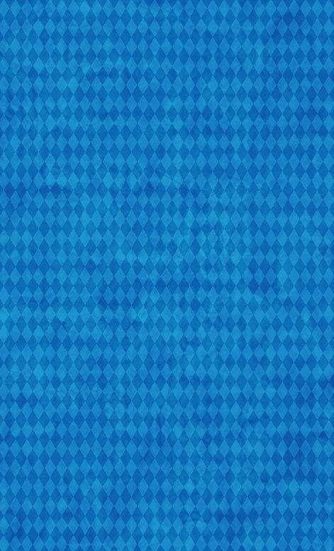 banner casas_rav 2.jpg