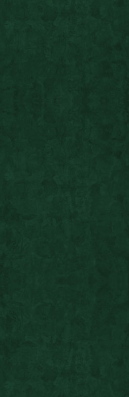 banner casas-05.jpg