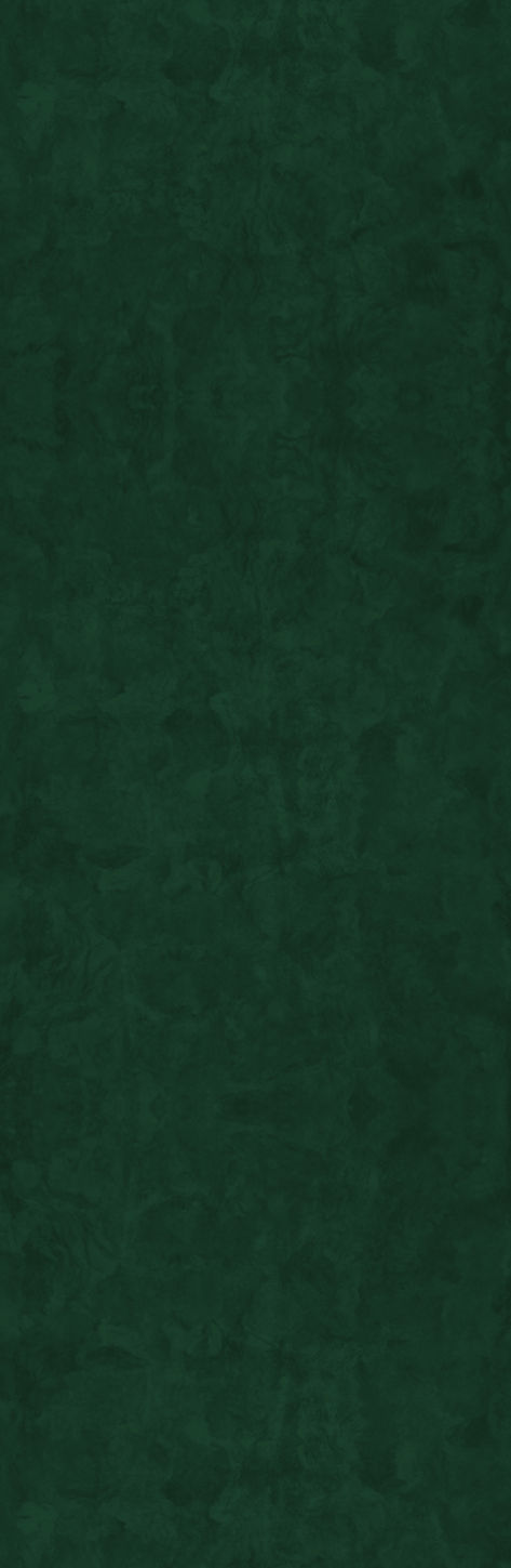 banner casas-05.jpg