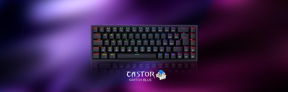 banner_`castor_blue.png