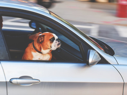 Does driving for a charity carry risks?