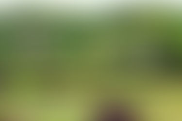 Situs Makam Rato Waro Bewi