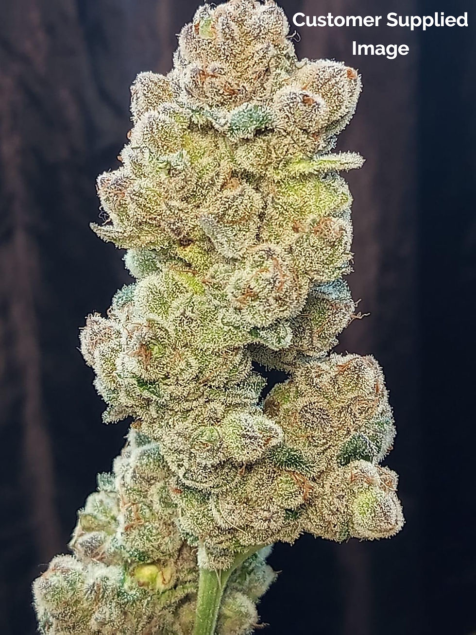 Thumbnail: Pineapple Express