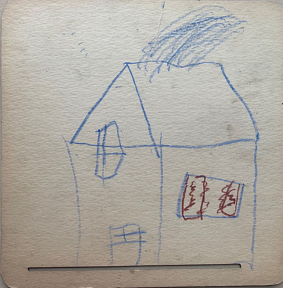 Democracy burning house.jpg