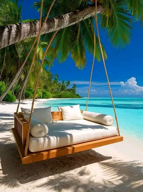 A HANGING WODDEN COUCH WITH WHITE PILLOWS HANGING FROM A COCONUT TREE ON THE BEACH