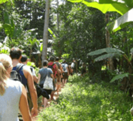 tourists visiting spice farm