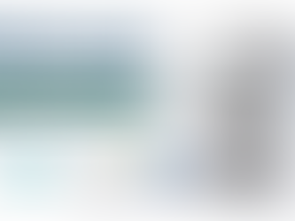 Stainless Steel Slop Hopper for hospital hygiene and medical waste disposal