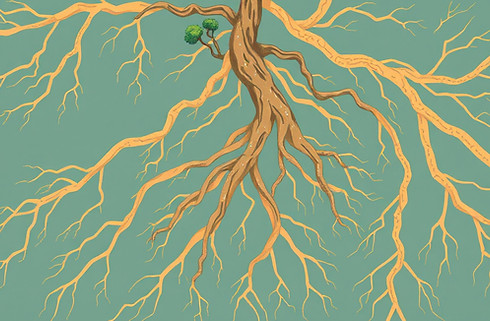 different kinds of roots crossing, almost looking like metro maps.jpg