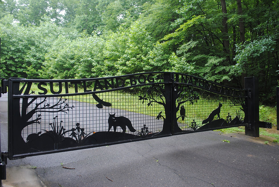 Suitland Bog Gate