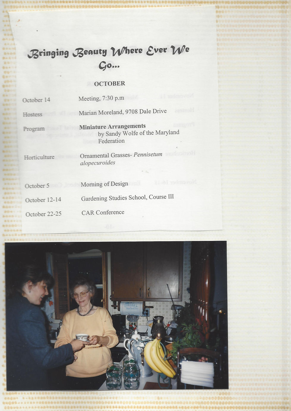 Page 06