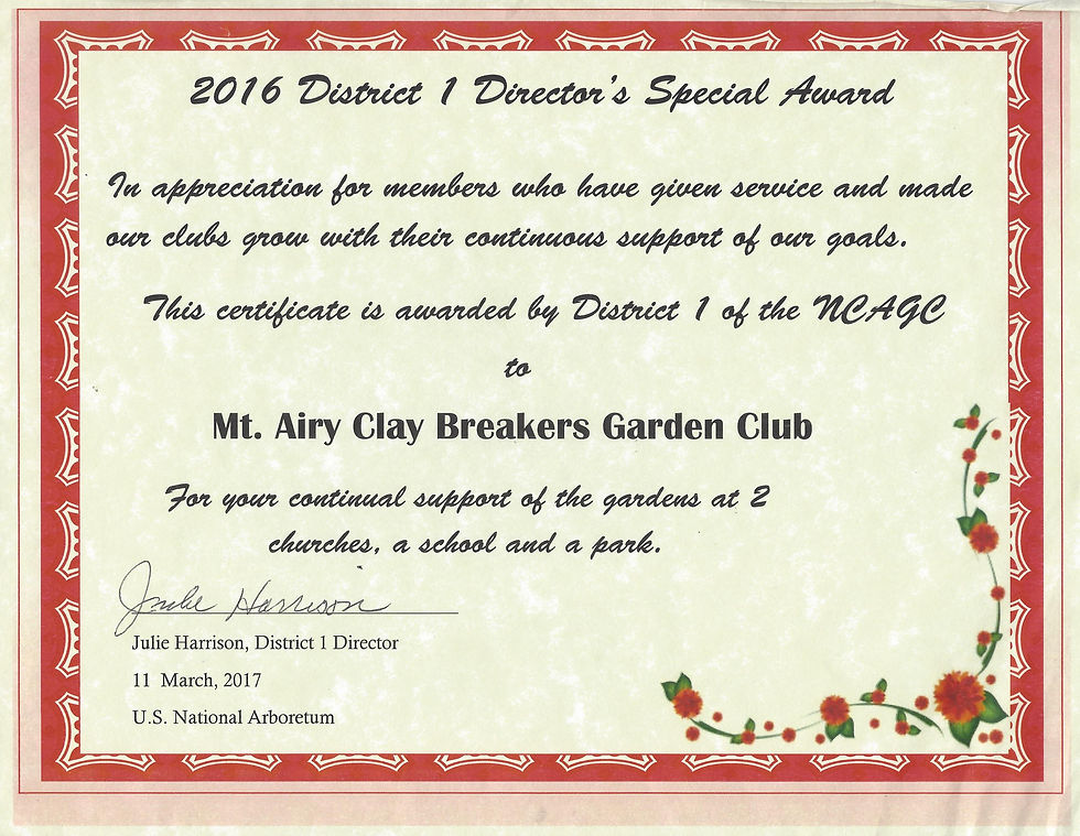 District 1 2016 Special Award
