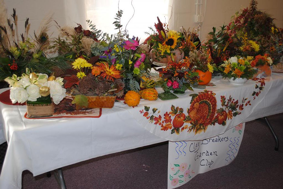 Nov 13 2013 St Thomas Mkt club arrangeme