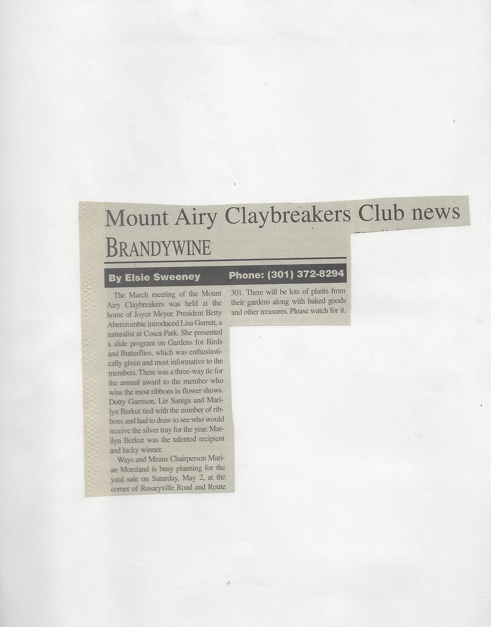 Page 31