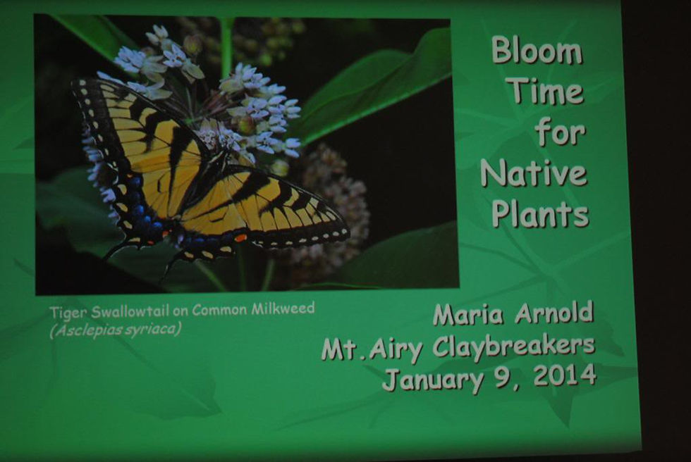 Jan 2014 Native Plants presented by Mari