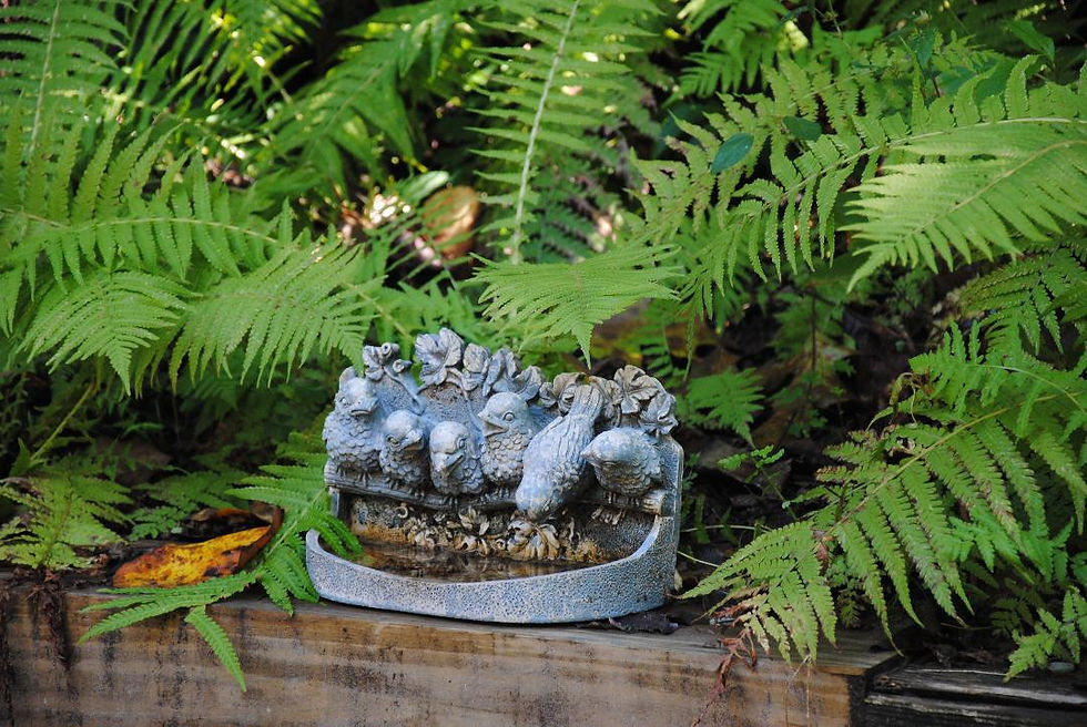 Lorraine Leondard's garden