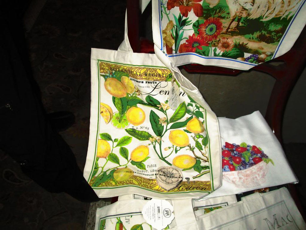 Nov 2013 White Elephant sale items_3